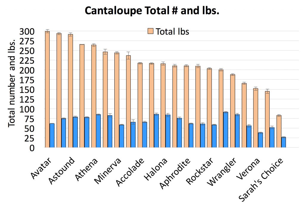 Chart showing Cantaloupe total number and lbs. Avatar produced the most lbs (300) in the trial and Sarah’s Choice produced the least (80). From most to least are Avatar, Astound, Athena, Minerva, Accolade, Halona, Aphrodite, Rockstar, Wrangler, Verona, and Sarah’s Choice.