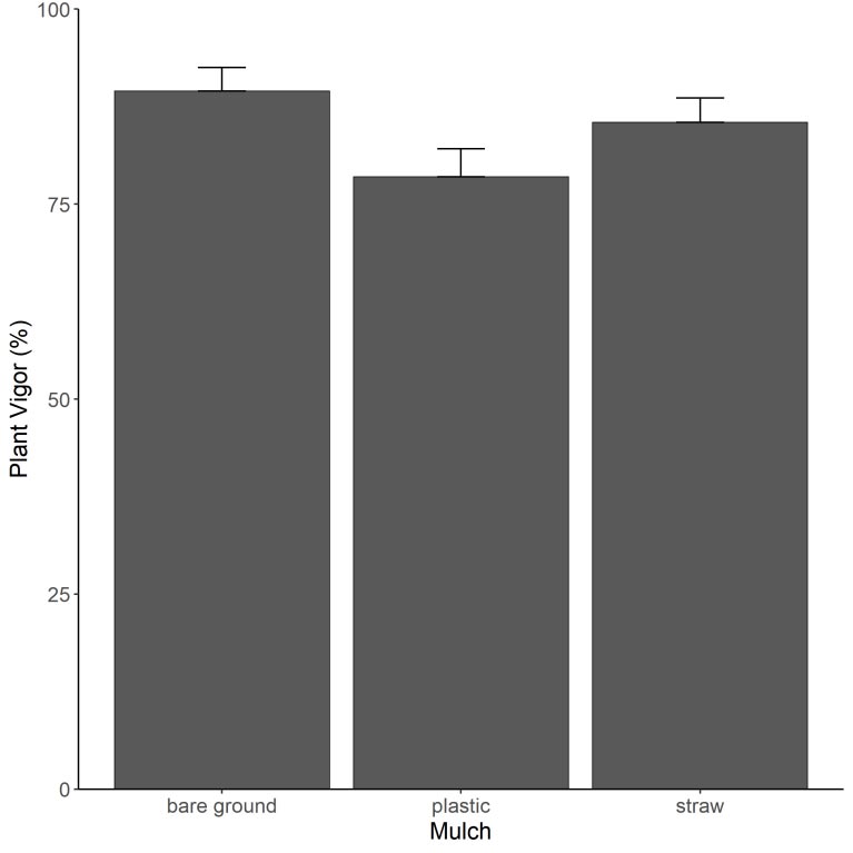 A bar graph showing the percentage (in increments of 25) of Plant Vigor plotted against three types of mulch: bare ground (between 75 and 100), plastic (just barely over 75), and straw (slightly higher than plastic, less than bare ground).