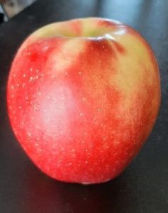 Close up of an Arkcharm Apple