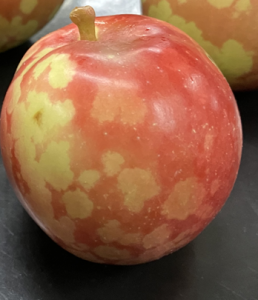 Apple with bleached spots on the skin.