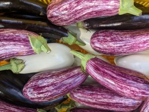 Close up of a variety of purple and white eggplant after harvest.