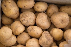 potatoes after harvest