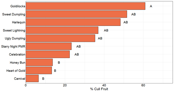 Image of chart graph showing Goldilocks has the largest number of culled fruit, followed by Sweet Dumpling and Harlequin while Heart of Gold, Honey Bun and Carnival had the least.