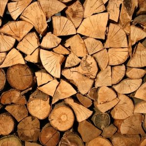 Photo of a stack of firewood for indicating the firewood category of our insects' habitat section.