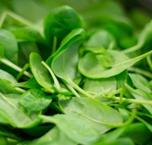 Photo of a pile of spinach leaves, for marking our "Lettuce, Endive, Escarole, Spinach" category of our Vegetable Garden section.