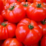 Photo of some tomatoes, for marking the "Tomatoes" category of our Vegetable Garden insect ID section.
