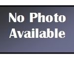An image that says "No Photo Available" because we don't have any dust mite or parasitic mite (of humans) photos for those entries.