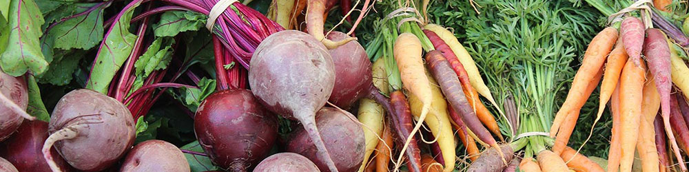 freshly harvested beets and carrots