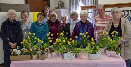 a group of women standing behind a table with potted daffodils on the table