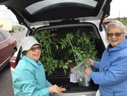 two women taking plants out of the back of a car