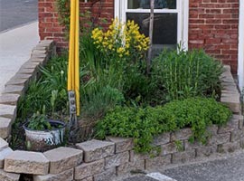 a garden space created by the Androscoggin-Sagadahoc members - image for feature photo