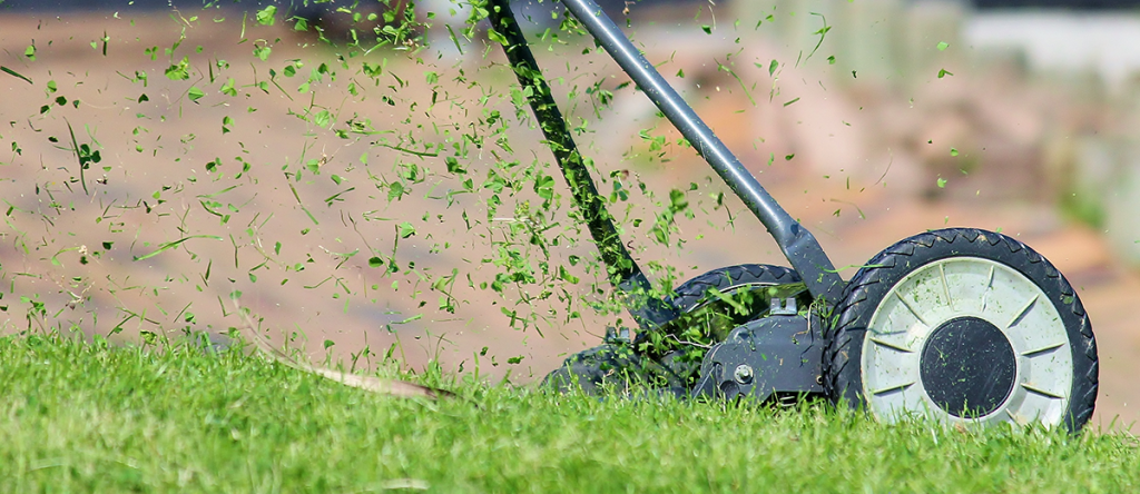 close up of a lawn mower cutting grass