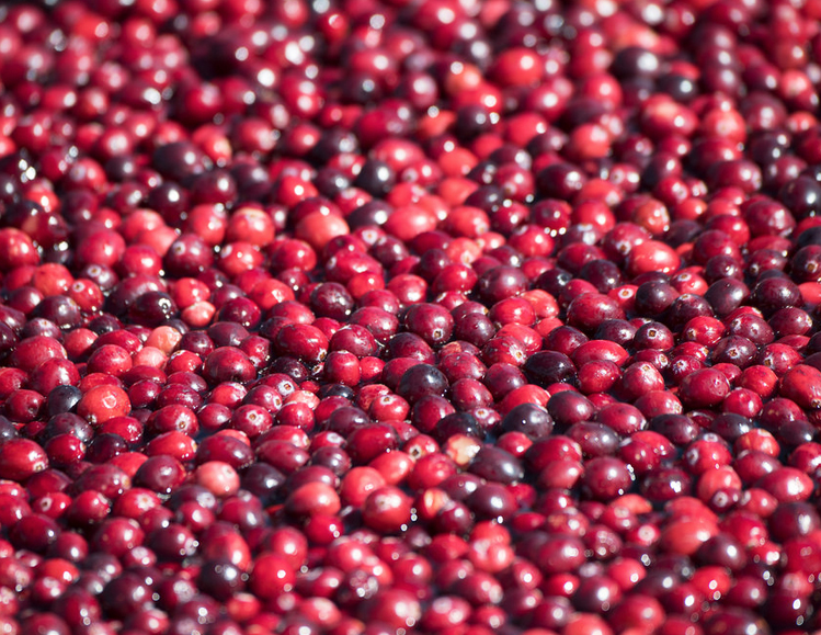 cranberries