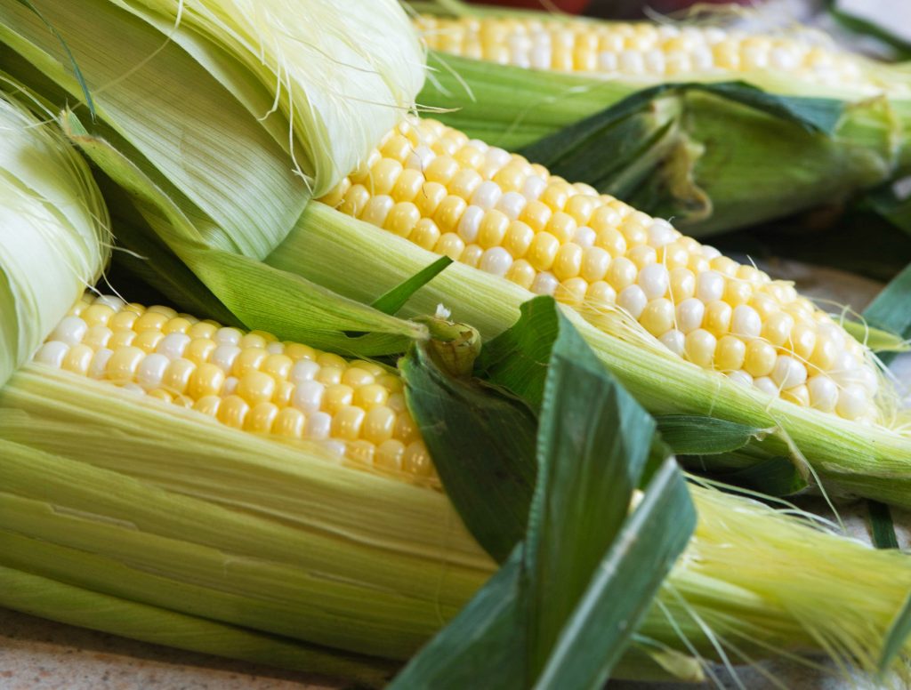sweet corn