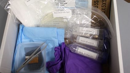 Plant ID Box containing Submission Form, Gloves, Sterile Underpads, Kimwipes, Sterile Tweezer(s), Petri Dish(es), Sterile DI Water Tubes, Razor Blade(s), Plastic Dish(es), Screen Mesh, Sealed Plastic Bag, and Alcohol Wipes(s)