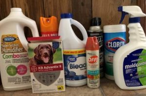 A line up of chemicals, including disinfectants, a flea control topical, bacteriostat, mold control product, insecticide, and mosquito repellent as examples of pesticides commonly found around the home.