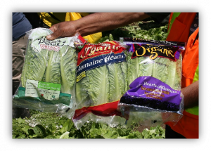 Three packages of organic romaine lettuce in the field