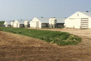 Turkey Farm Complex: Iowa , USA