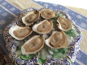 oysters on the half shell