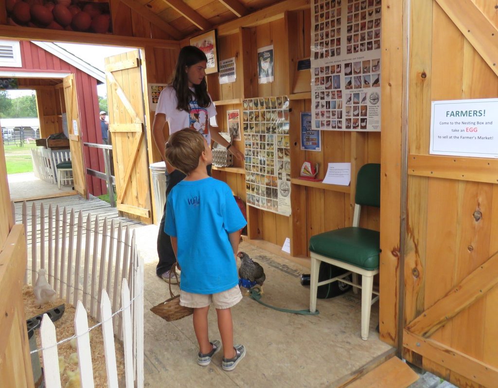 4-H member assisting child at 4-H Farm-to-Fair exhibit
