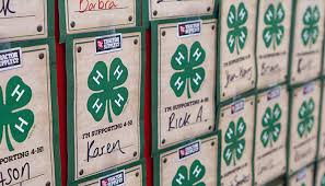 wall of Paper Clovers