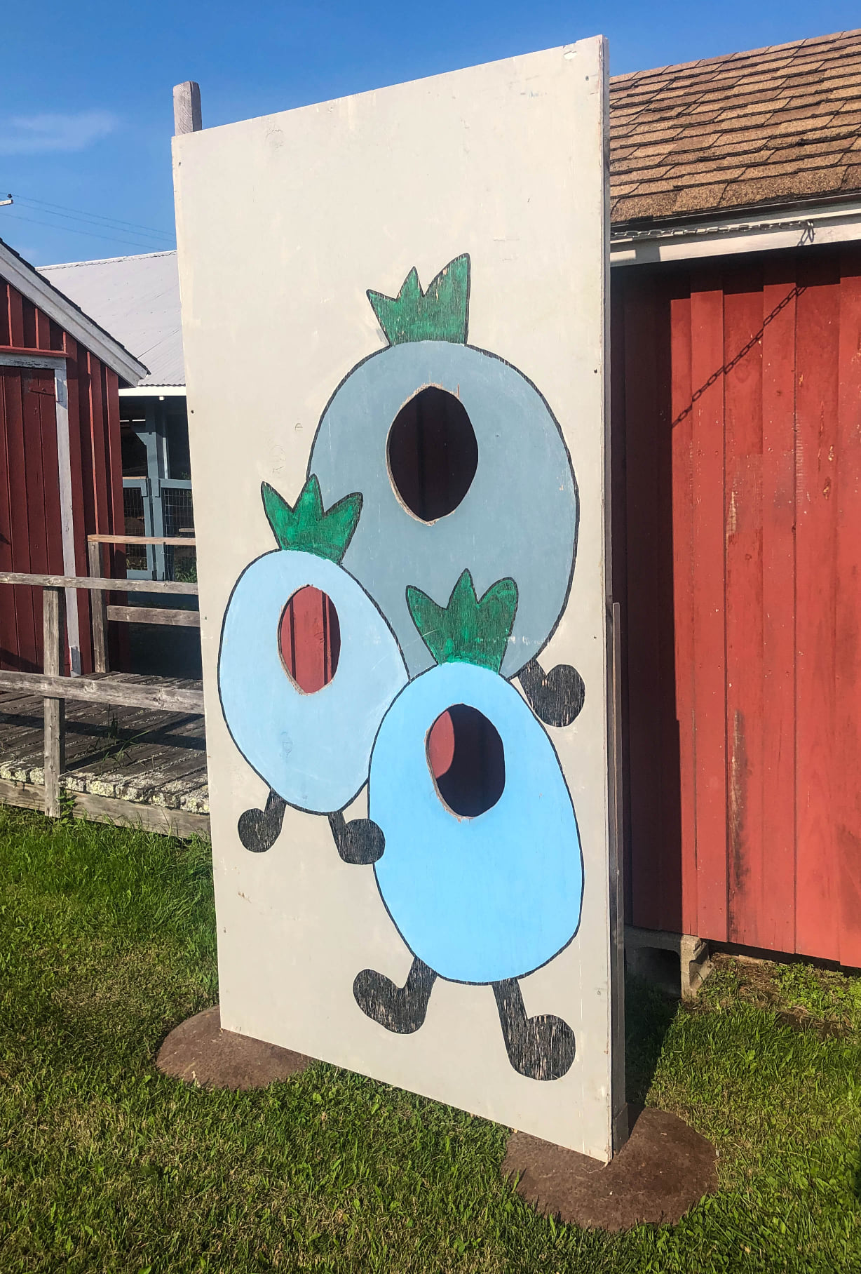 Blueberries painted on a board