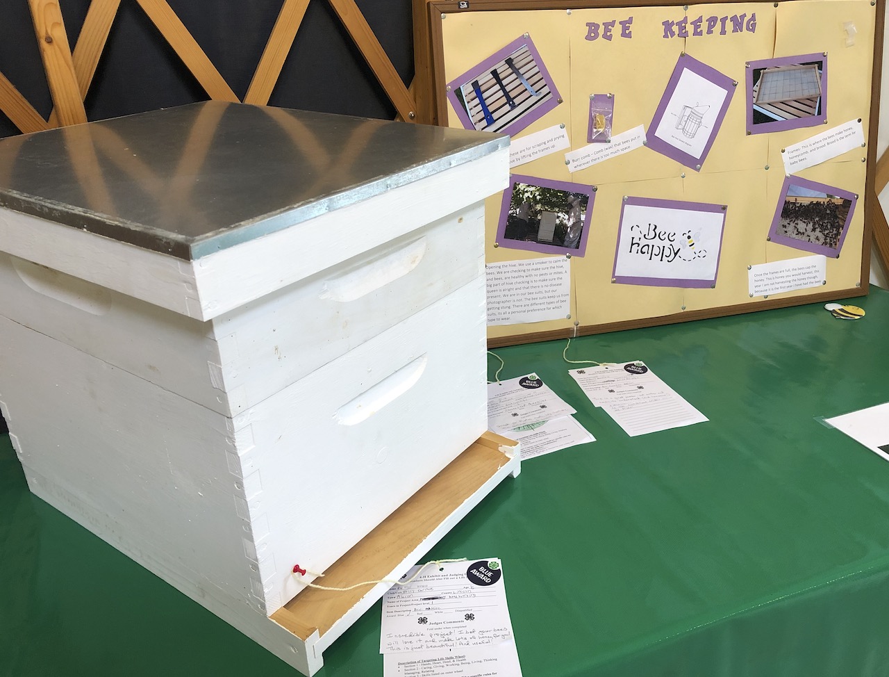 Beehive and project made by 4-H members
