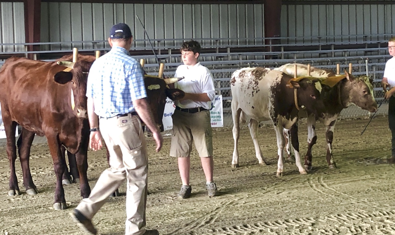 Youth and a judge with steer at Union Fair