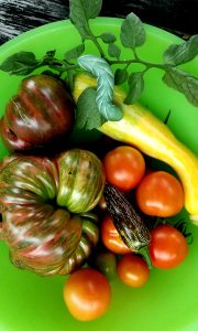 Plate of harvested vegetables with a tomato hornworm