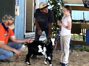 4-H member talking about her goat with a judge, her father is holding the goat's lead