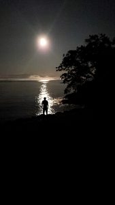 silhouette of a person standing at the edge of water with a tree and moon shining and reflecting