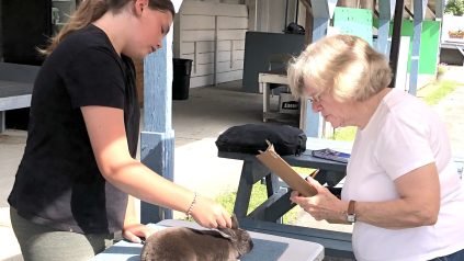 Young woman behind a table with a rabbit on it, an older woman with a clipboard in front of table at Union Fair