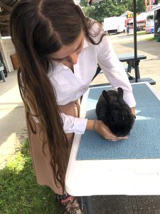 young woman with long hair bending over a rabbit as she places it on a table at Union Fair