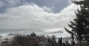 Ocean with waves in front of a partly cloudy sky with rocks, bushes, and trees in the foreground, a sign posted saying DANGER KEEP OFF ROCKS