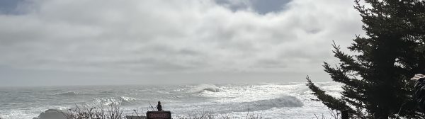 Ocean with waves in front of a partly cloudy sky with rocks, bushes, and trees in the foreground, a sign posted saying DANGER KEEP OFF ROCKS