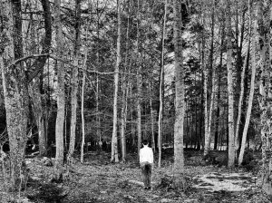 Black and white photo of a child standing among tall, bare trees, patches of snow on the ground