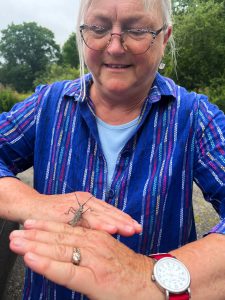 Woman in glasses looking toward her hands, which are in the foreground, a Northeast Pine Sawyer beetle is standing on her hands