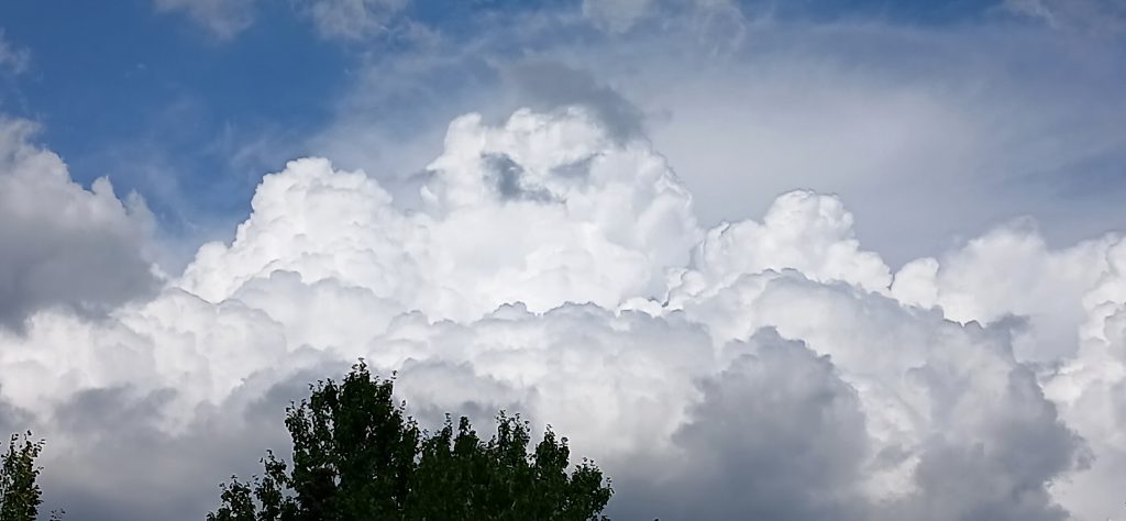 Blue sky dominated by fluffy white clouds, treetops in lower frame