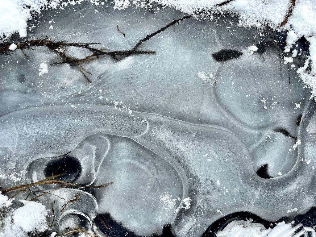 swirl pattern of ice in shallow water with small sticks and snow on the edges