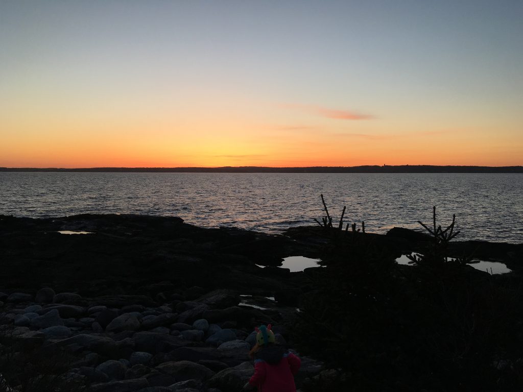 orange and blue sky, distant lake shore and lake at sunset time, dark images of rocks, trees, and a child in foreground