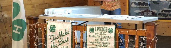Young woman on a stage behind a table with 4-H flag and banners speaking