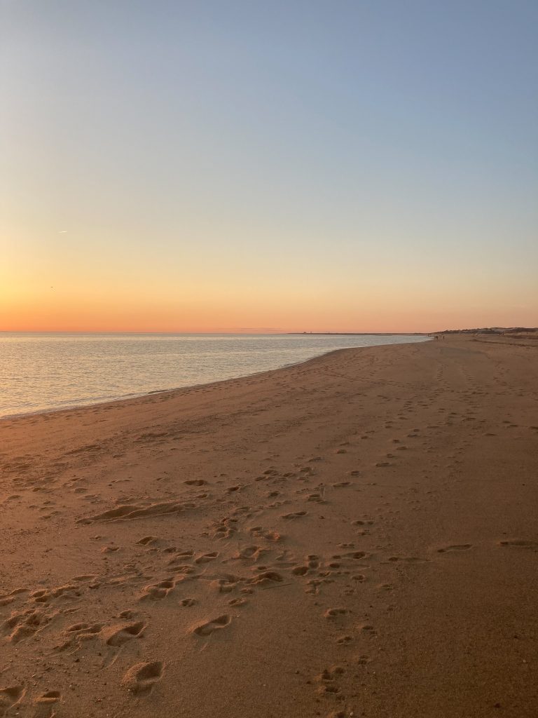 sandy ocean beach with footprints, empty of people or animals, with pink, yellow and blue sky on horizon