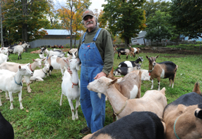 goat producer with goat herd