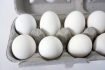 Selling Eggs in Maine - Cooperative Extension: Livestock - University ...