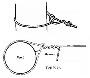 Illustration showing side view and top view of a half hitch knot