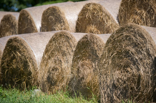 bales of hay; photo by Edwin Remsberg