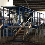 Dairy system in the Netherlands