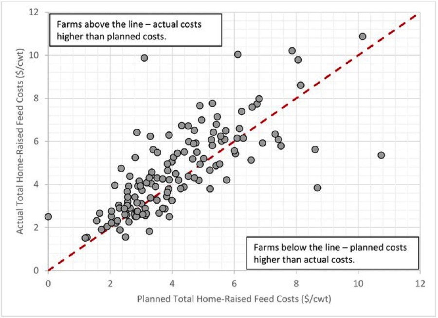 Chart showing actual home-raised feed costs versus planned home-raised feed costs