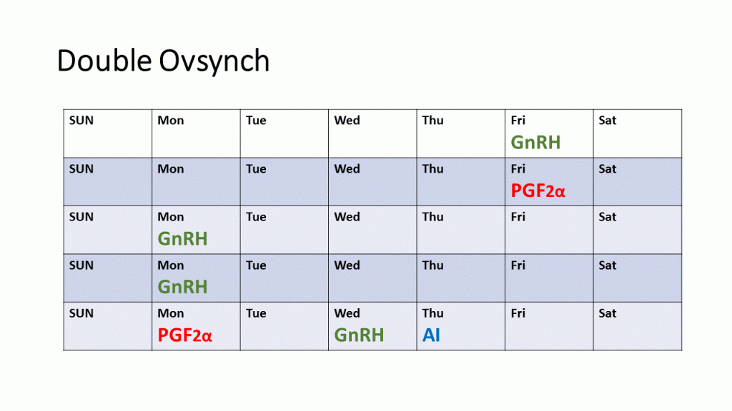 Screenshot of Double Ovsynch calendar