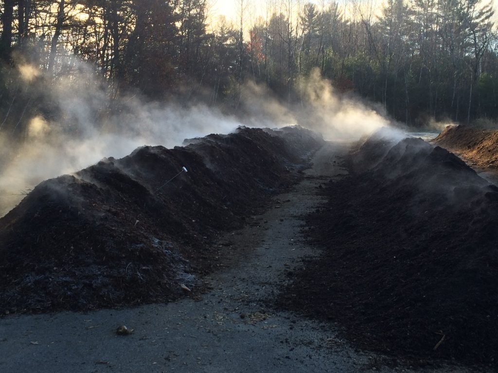 Steaming compost windrow at Highmoor Farm, Monmouth, ME